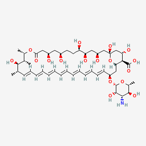 Amphotericin 2D chemical structure